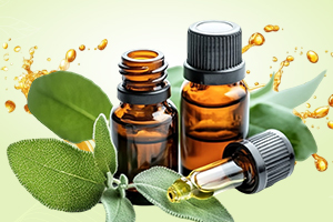 Herbal preparation