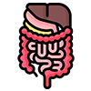 Digestion