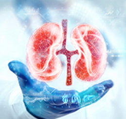 Kidney Disorders Treatment in Thane